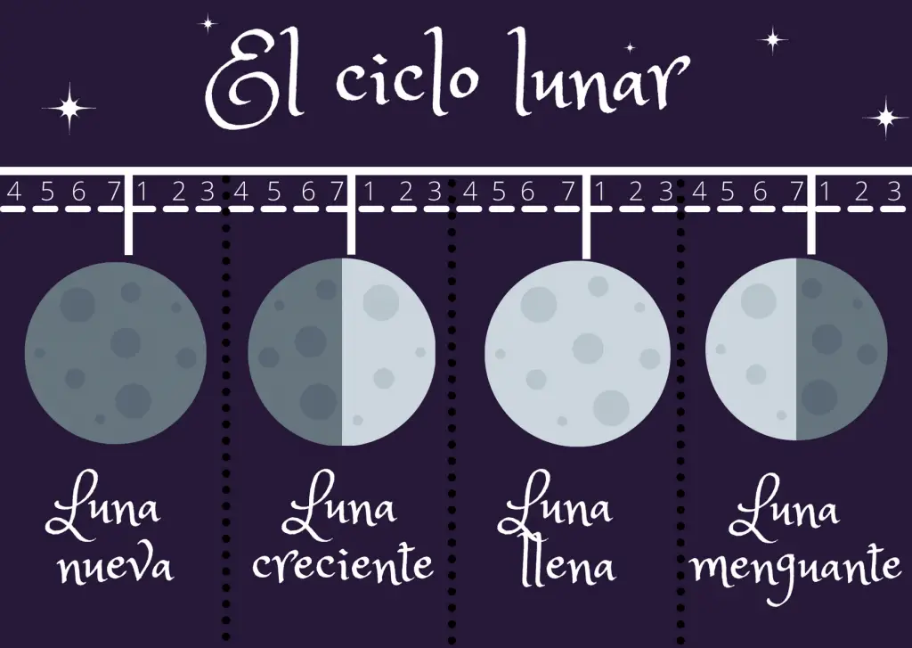 ciclo de la luna