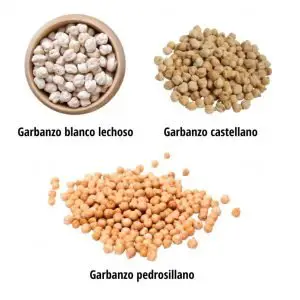 Distintas variedades de garbanzos que se pueden consumir.