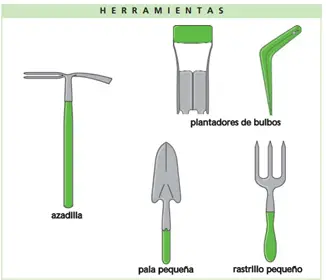 Kit de herramientas para sembrar las plantas bulbosas